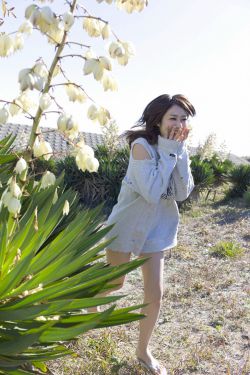 梦华录电视剧免费观看西瓜