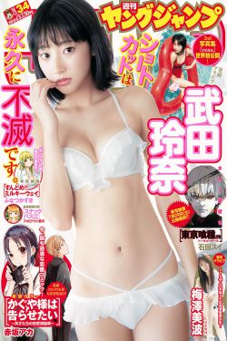 聊斋新编 电视剧