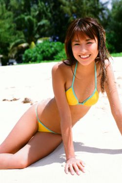 法证先锋四