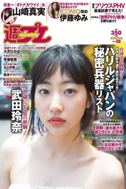 骡子和金子 电视剧