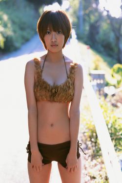 迎风青春40集全部免费播放