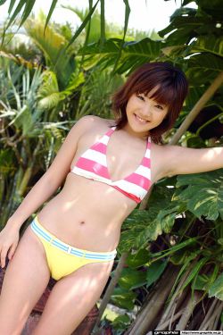 赘婿在线免费观看