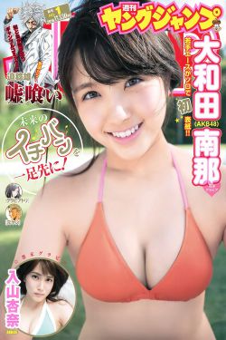向着胜利前进 电视剧