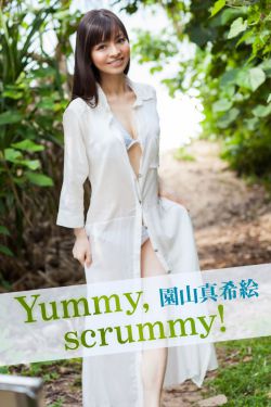 电视剧便衣支队