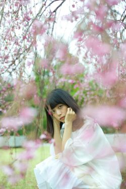 每逢国庆思佳婿短剧免费观看